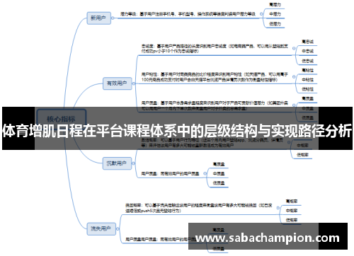 体育增肌日程在平台课程体系中的层级结构与实现路径分析
