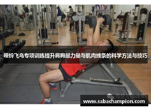 哑铃飞鸟专项训练提升肩胸部力量与肌肉线条的科学方法与技巧